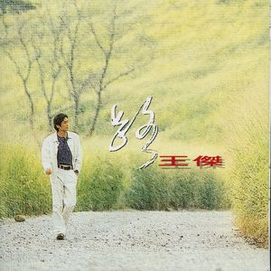 女人到达巅峰高清在线
