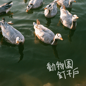 女人到达巅峰高清在线
